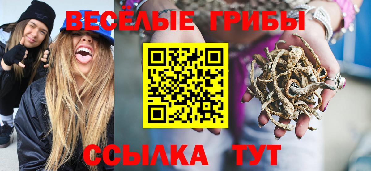 Печора  Галлюциногенные грибы Psilocybe  Вход с VPN  Галлюциногенные грибы мицелий 